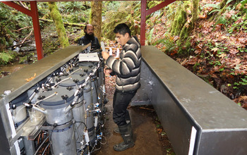 LTER scientists study organic matter in streambed sediments under controlled conditions.